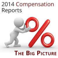 Compensation Reports The Big Picture